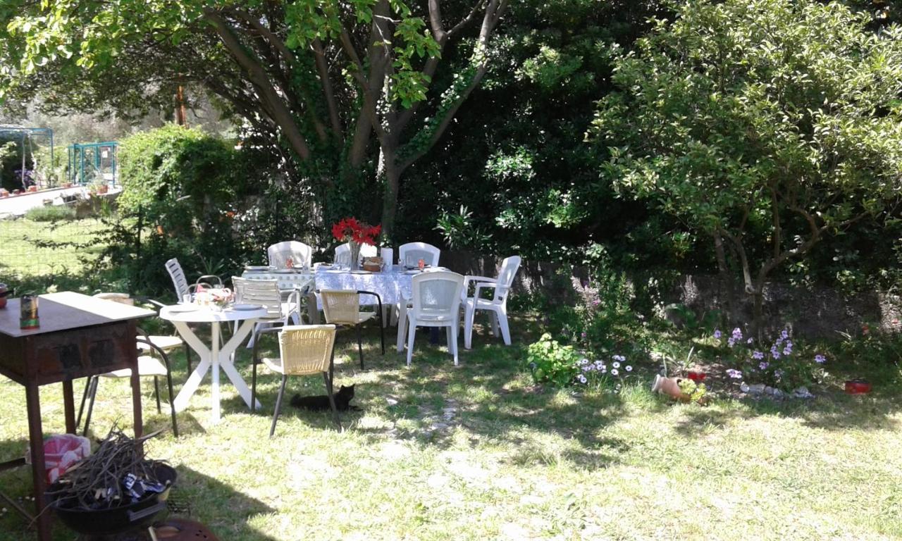 Family Apartment Garden And Sea Petrovac Екстер'єр фото